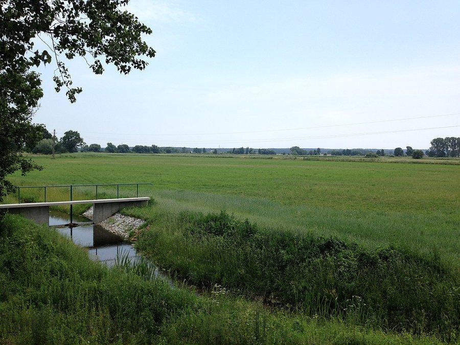 Widok na łąki, kanał i urządzenia hydrotechniczne