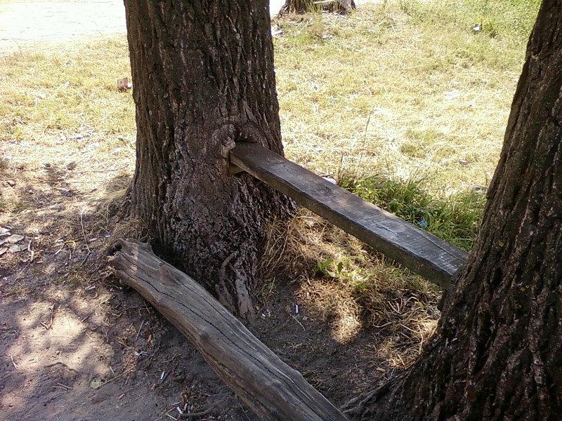 Ławeczka