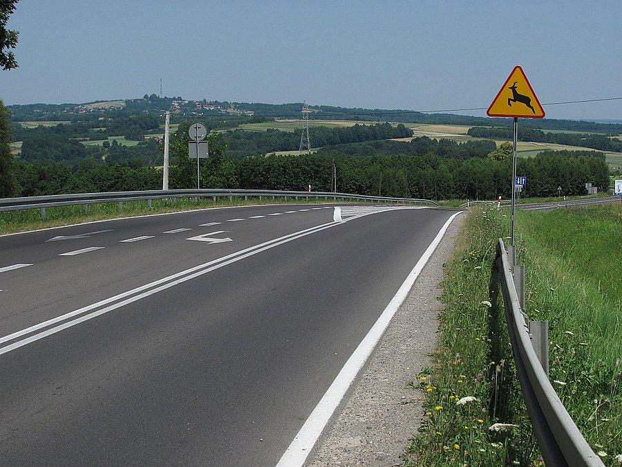 Ostatni wymagający podjazd w 37st.C - Poręba Radlna