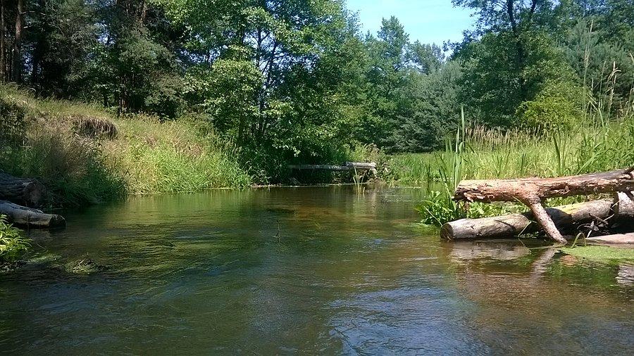 Kocinka