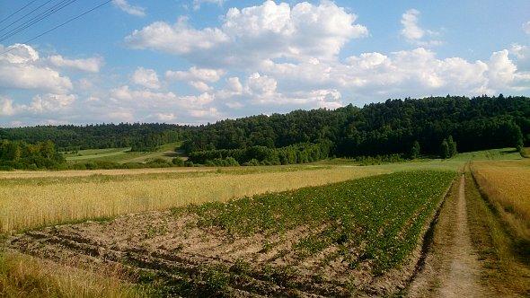 Roztoczański widok