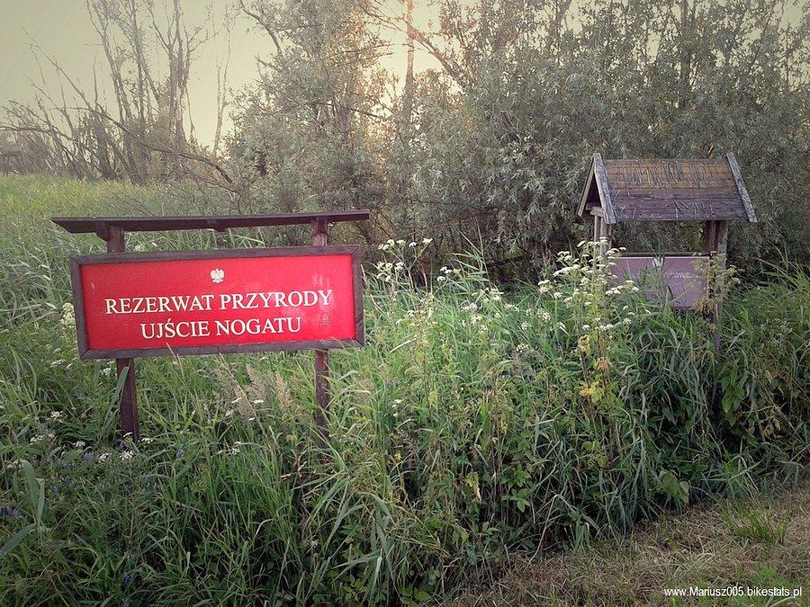 Rezerwat przyrody "Ujście Nogatu"