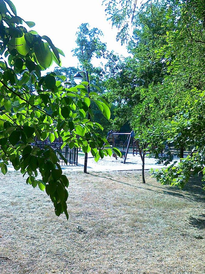 Park na Forcie Bema