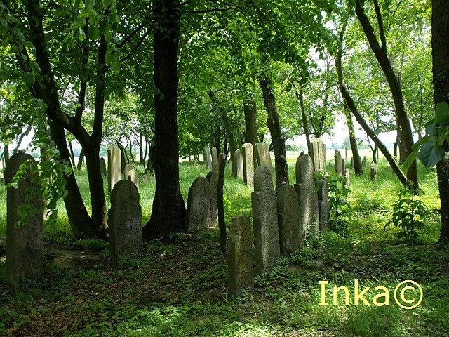 Kirkut w Wielowsi