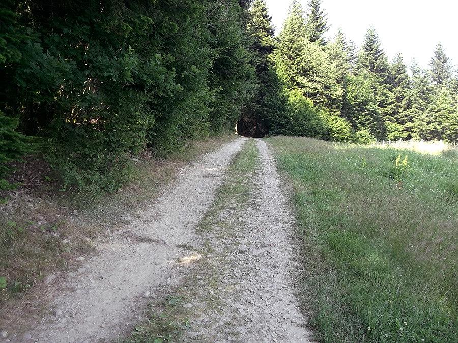 Łatwiejszy fragment szlaku