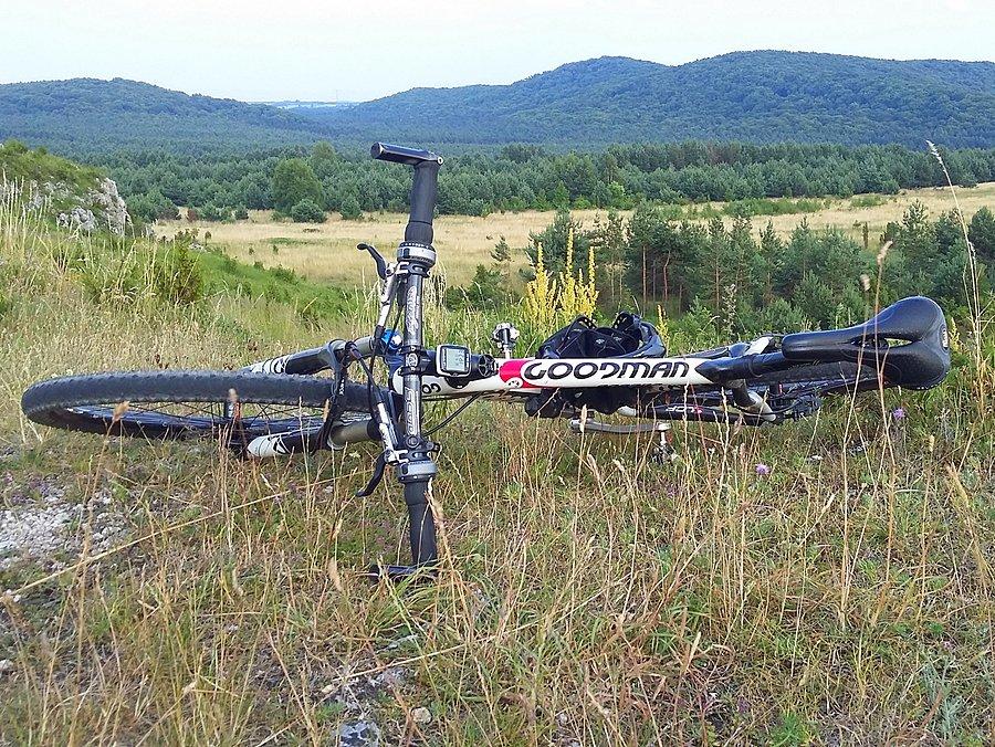 Goodman na Lipówkach