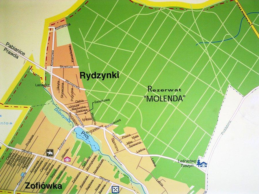Prawda Molenda