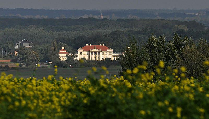 Żerków punkt widokowy