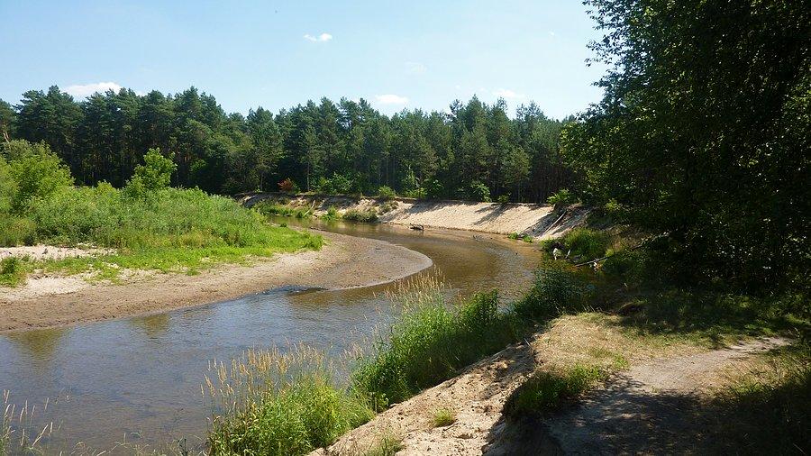 Rzeka Świder pod Mlądzem