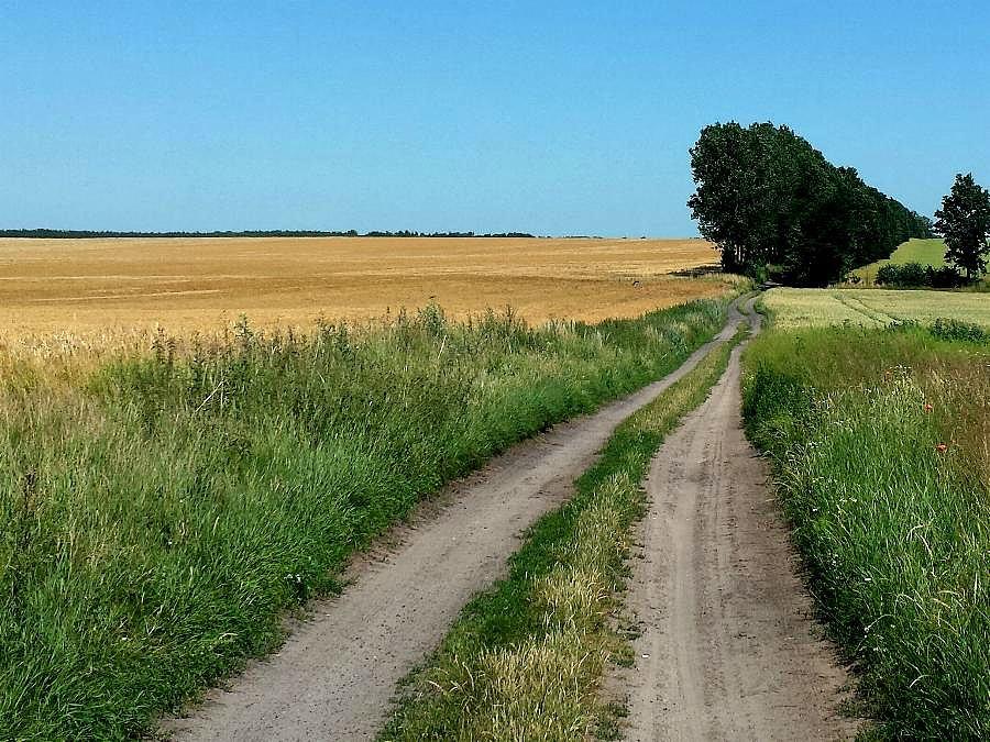 Michuss-owa droga do Grabowa z Klępina