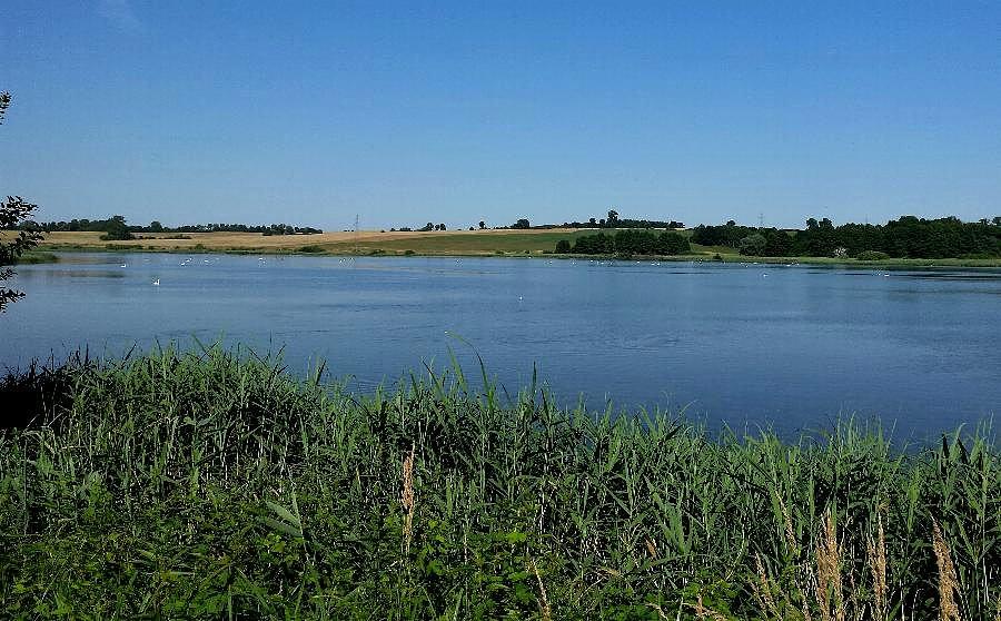Kępińskie stawy