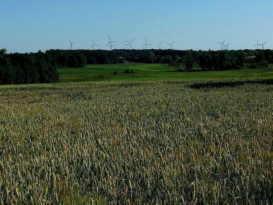 Farma wiatrowa w Sułkowie