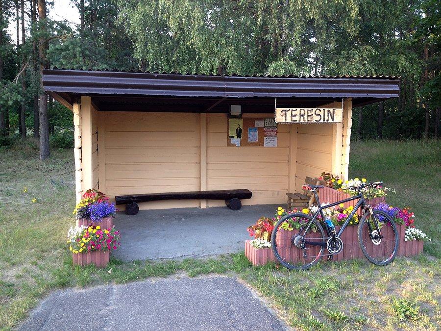 Ukwiecony przystanek PKS w Teresinie