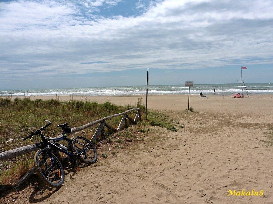 Plaża