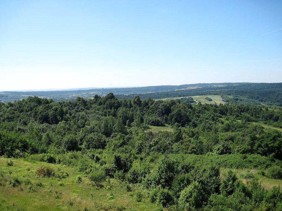 Widok z wieży