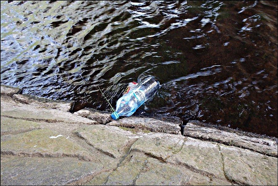Lodóweczka ;)