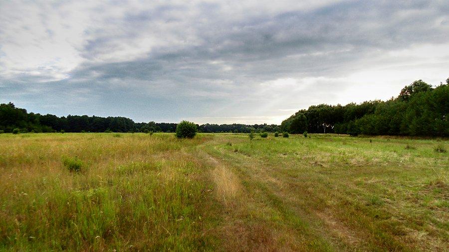 Łąka na której droga się skończyła