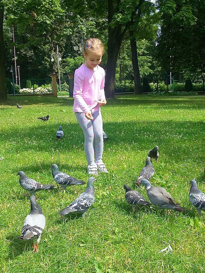 Córcia dokarmia gołębie w Parku Staszica