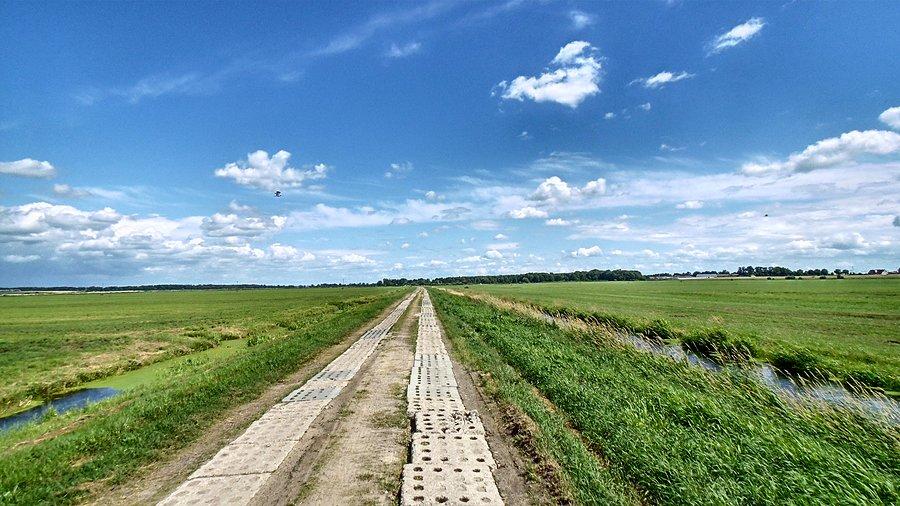 Wzdłuż Kanału Rzeplińskiego