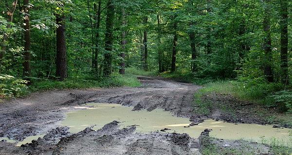 Kałuże po ostatnich ulewach i burzach