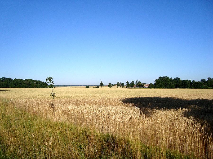 Za Koźminkiem