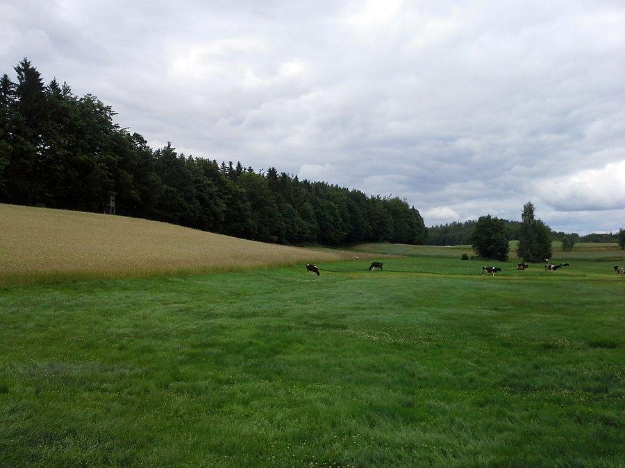 Kaszubskie widoczki