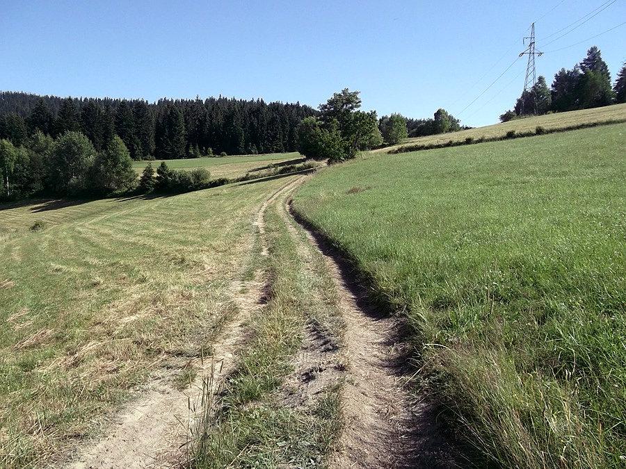 Podjazd na Świńską Górę 4