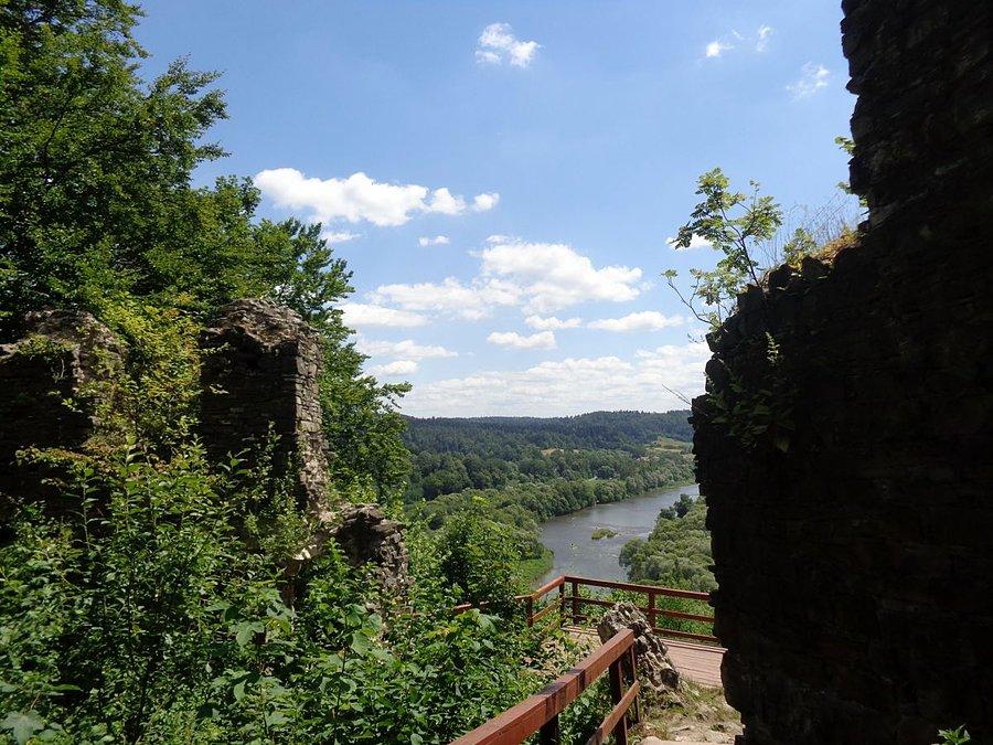 Riuny zamku Sobień