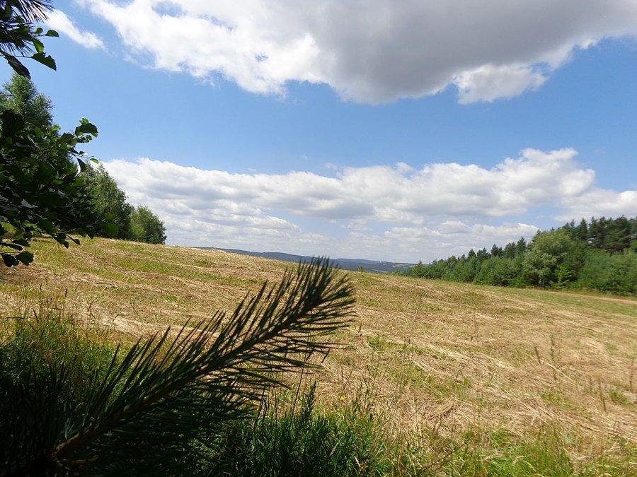 Krajobraz górki