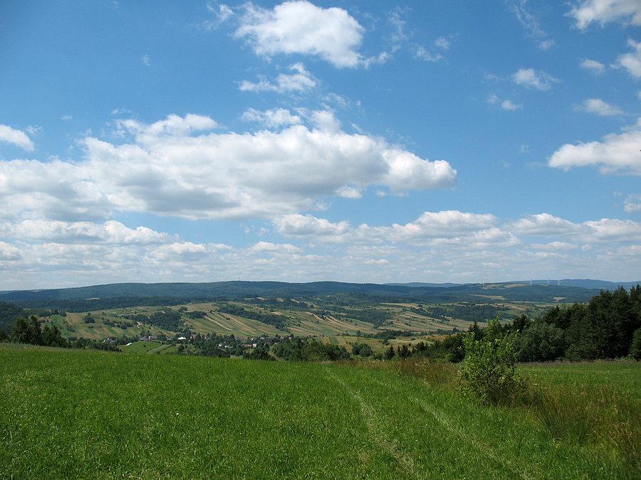 Żurawinka-Kuty