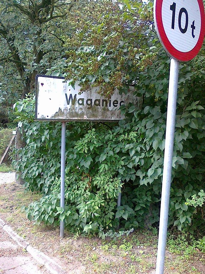 Cel osiągnięty. Waganiec