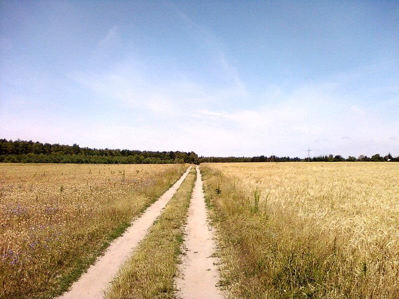 Droga przez pola