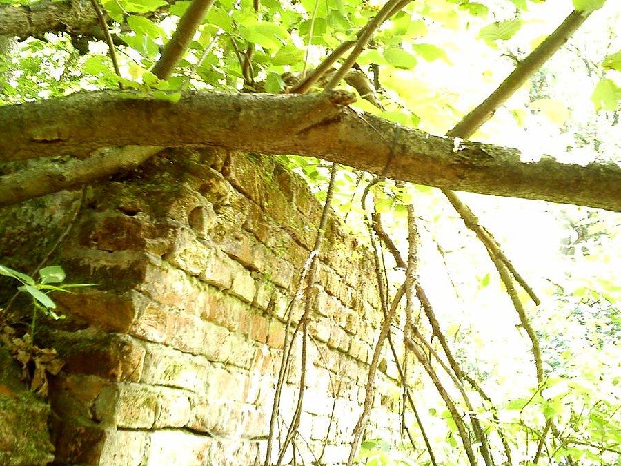Mur nad Tarczynką - waypoint #3012