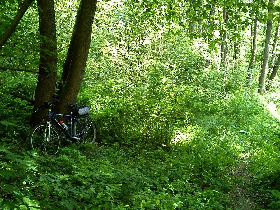 Zielono mi - w okolica waypointa nr 3012