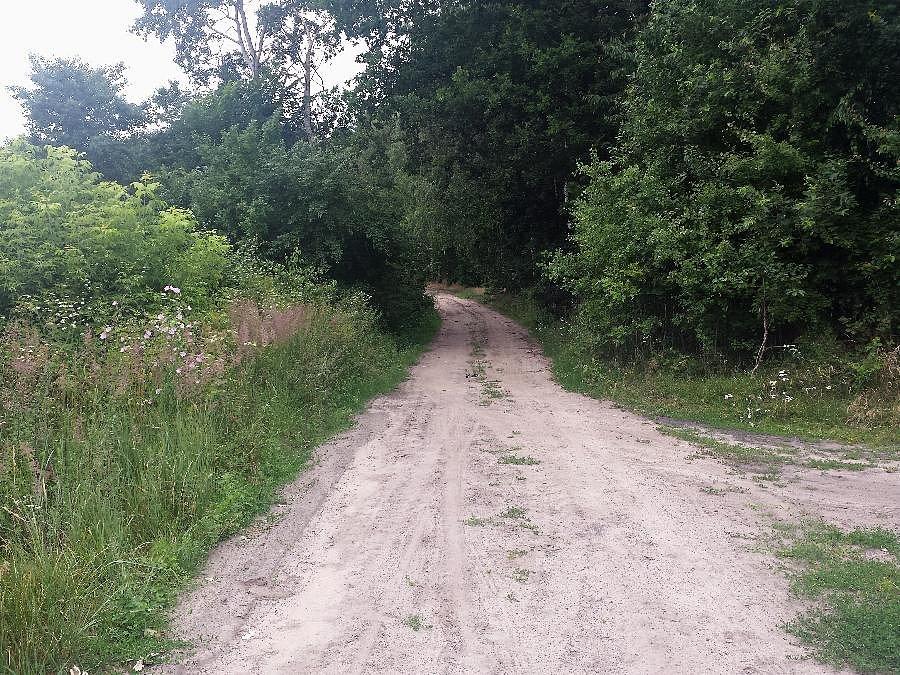Dojazd pożarowy nr 31