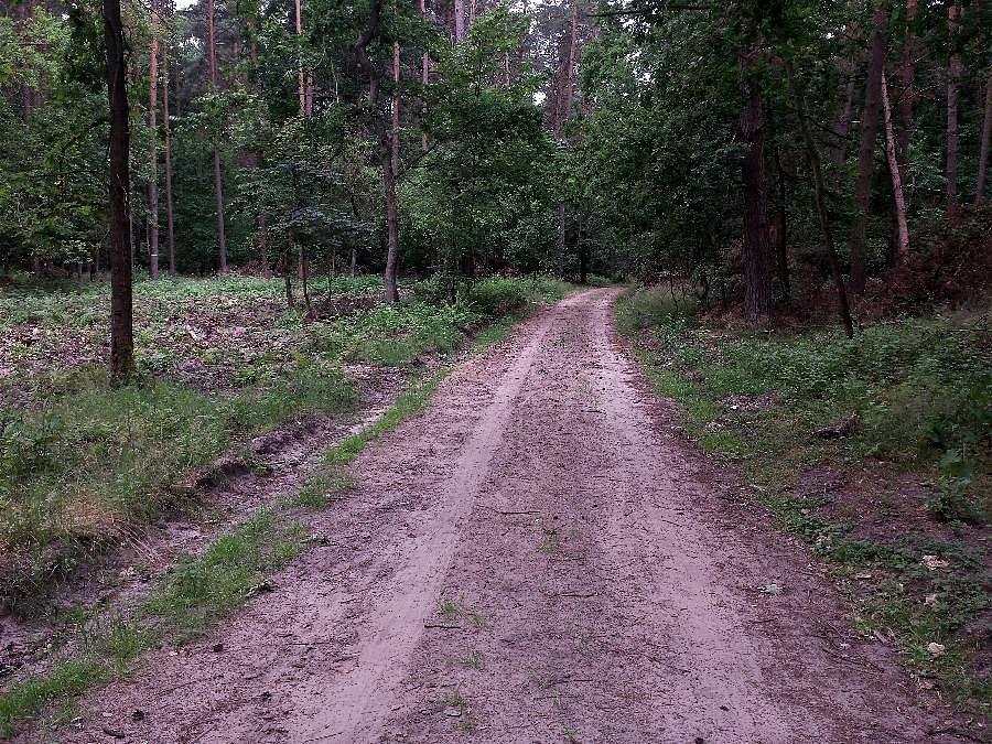 Dojazd pożarowy nr 31