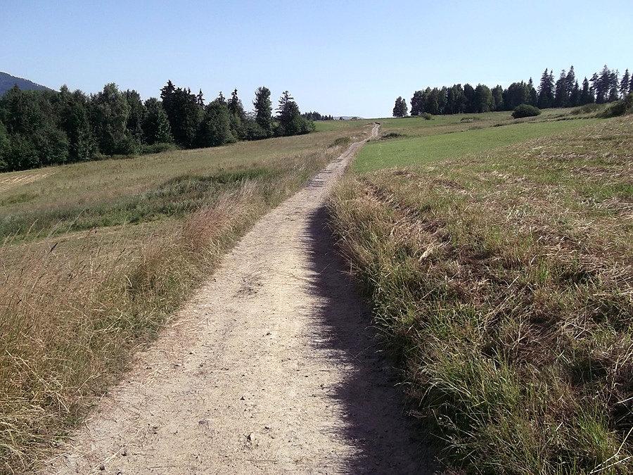 Czerwony szlak rowerowy