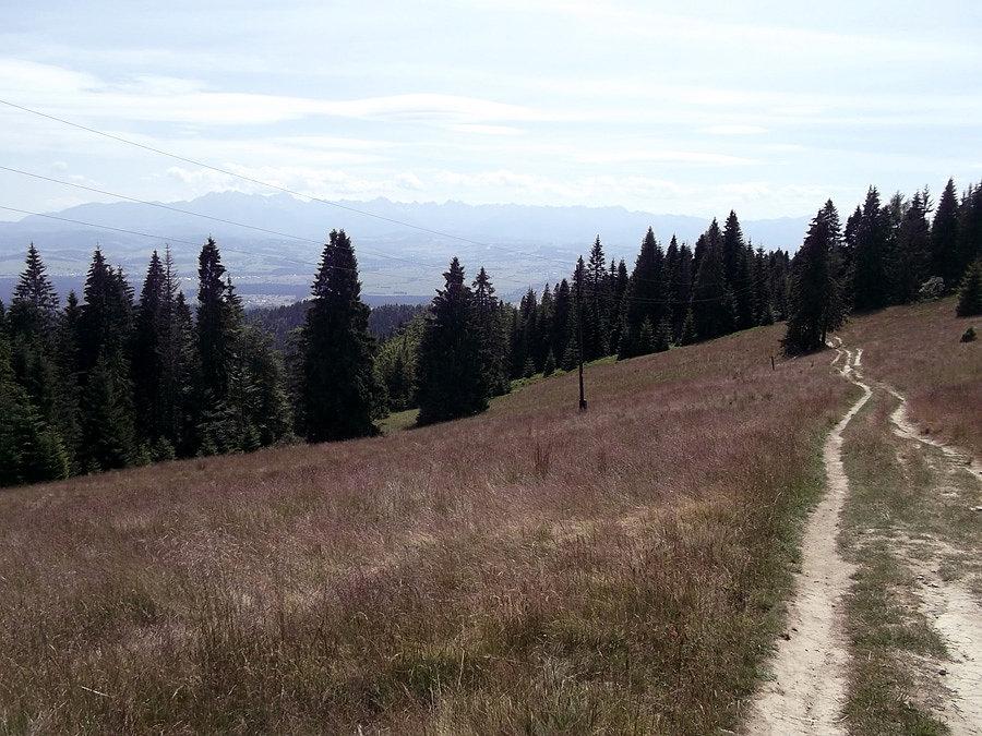 Widoczki z zielonego szlaku - Tatry