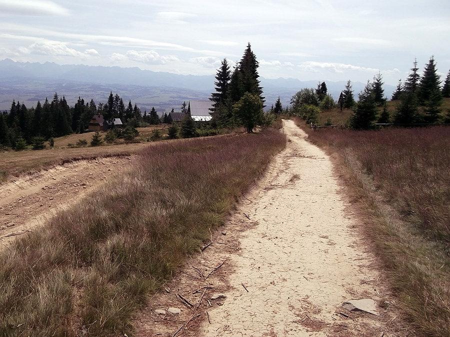 Widoczki z zielonego szlaku - Tatry