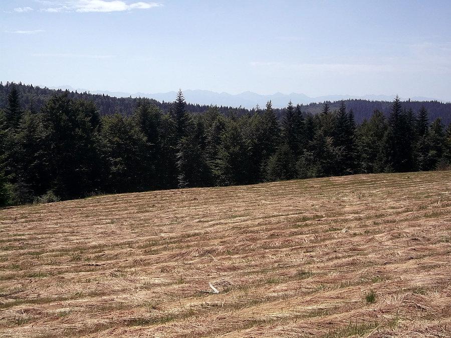 Pierwsze widoczki na Tatry