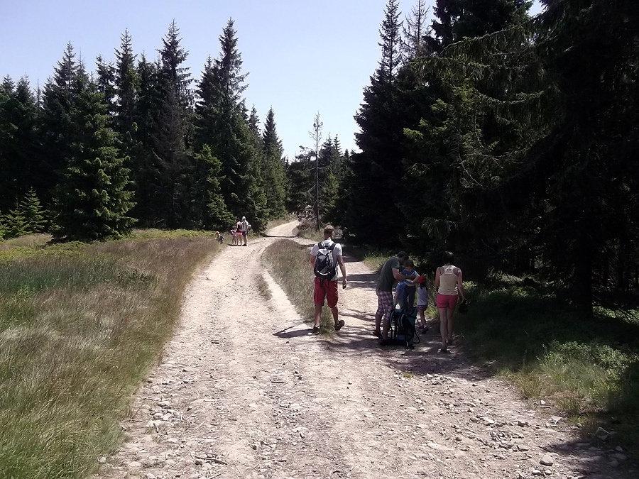 Czerwony szlak - Główny Szlak Beskidzki