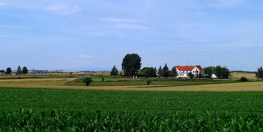 Pietraszyn. Jadę do Sudic
