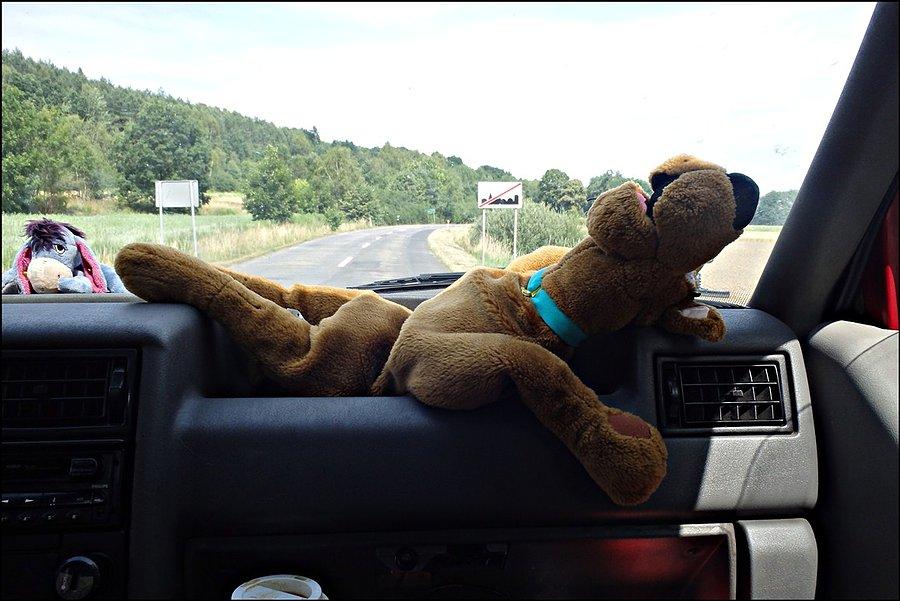 Scoobie Doo ma wyjebane ;)