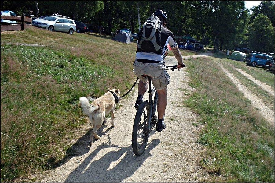 Przez camping ze smyczą