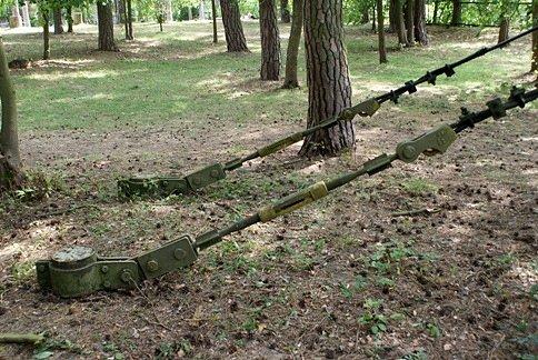 Liny podtrzymujące most na terenie Ośrodka