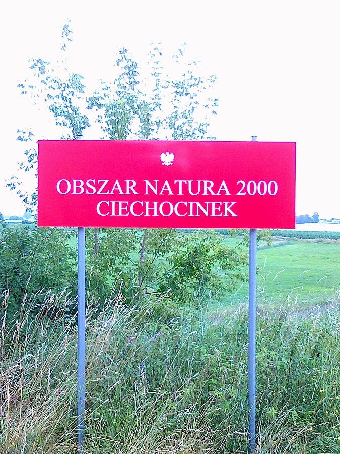 Ciechocinek też dołączył