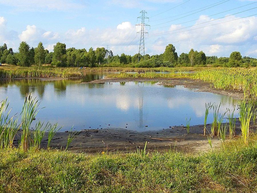 Jeziorko Krasowe w Kusiętach II