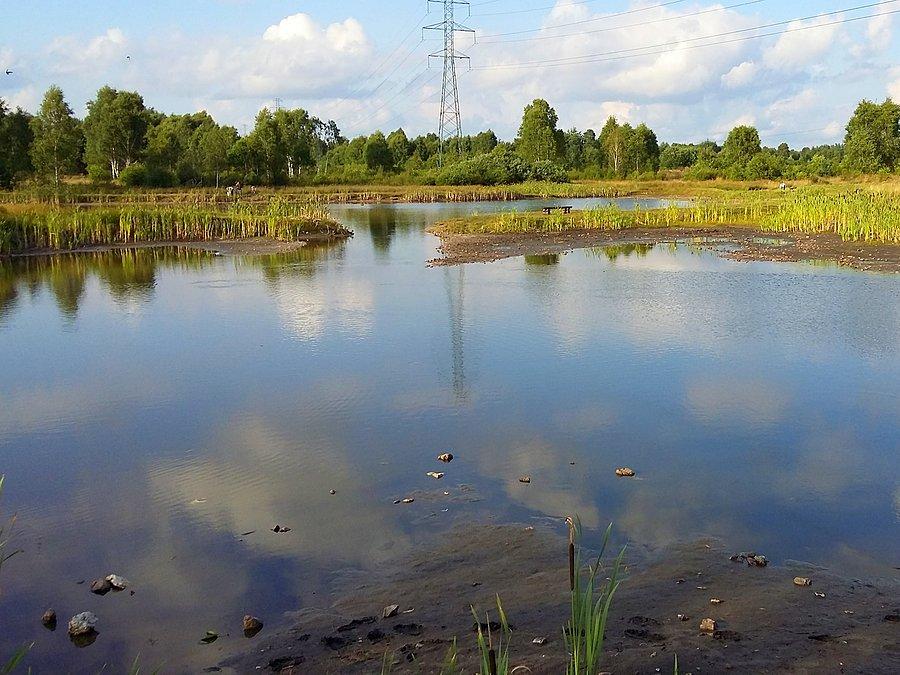 Jeziorko Krasowe w Kusiętach I
