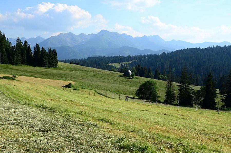 Tatry Wysokie zza Bukowiny
