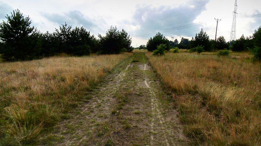 Za Zieleniewem po polnych drogach